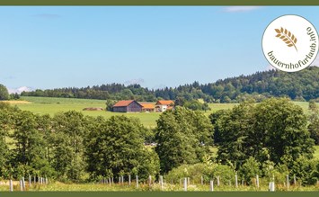 Nature experience and relaxation: Unforgettable farm holidays in the Bavarian Forest - bauernhofurlaub.info