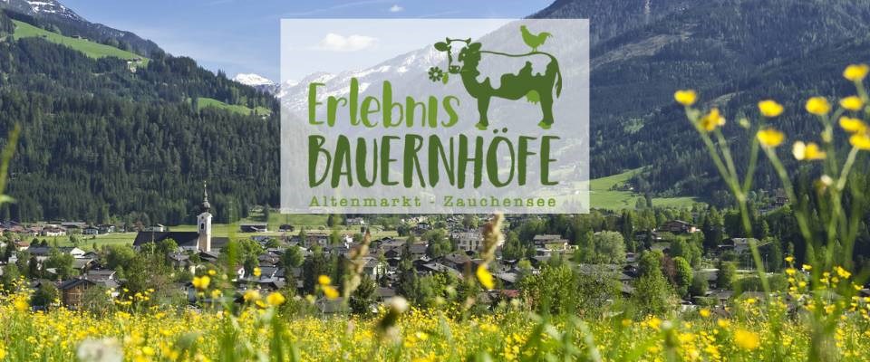 Farm holidays in Altenmarkt-Zauchensee: farm experience