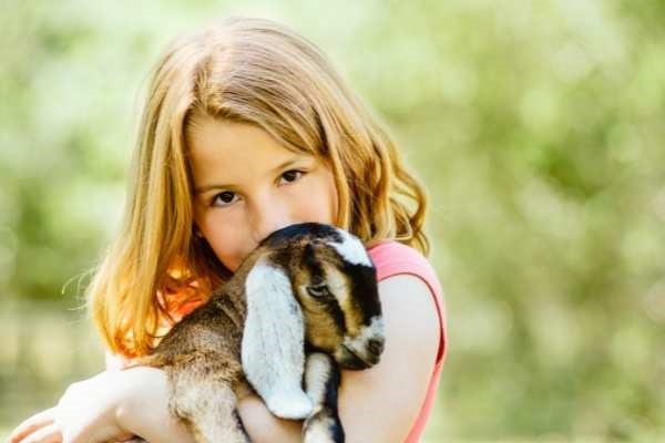 Girl holds a bunny