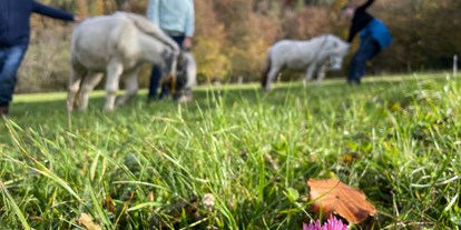 Urlaub auf dem Bauernhof - Tiere am Hof: Schafe - Niederösterreich - Pony Trekking - Büchlhof 