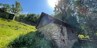 Urlaub auf dem Bauernhof - Mithilfe beim: Heuernten - Österreich - Dörrhütte - Büchlhof 
