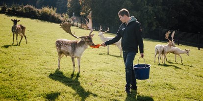 vacanza in fattoria - Angeln - Bassa Austria - Schon mal einen Damhirsch mit der Hand gefüttert?
Bei uns ist das möglich" - Die Hochrieß
