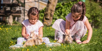 vacanza in fattoria - Klassifizierung Blumen: 4 Blumen - Bassa Austria - tägliches Kinderprogramm - Die Hochrieß