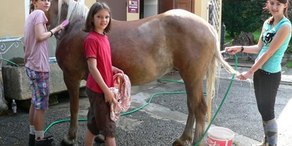 Urlaub auf dem Bauernhof - Sankt Johann im Pongau - Pferde beim Waschen - Bio-Bauernhof Auernig