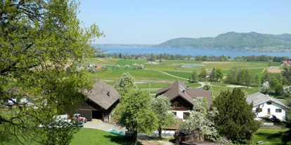 Urlaub auf dem Bauernhof - Fahrzeuge: Pflug - Oberösterreich - Schustergut mit Ausblick - Schustergut