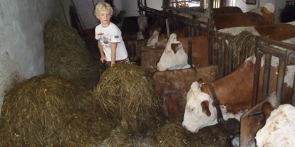 Urlaub auf dem Bauernhof - Jahreszeit: Sommer-Urlaub - Niederösterreich - Bauernhof Waira