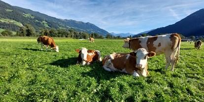 Urlaub auf dem Bauernhof - Fahrzeuge: Pflug - Österreich - Brixnerhof im Zillertal