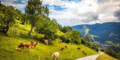 Urlaub auf dem Bauernhof - nachhaltige Landwirtschaft - Salzburg - Bio Bauernhof Oberbenk