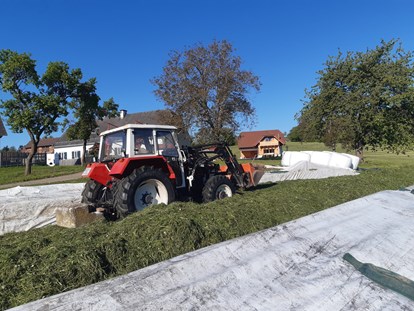 vacanza in fattoria - Fahrzeuge: Traktor - Austria - Promschhof Ferienhaus