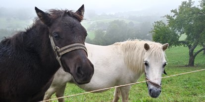 Urlaub auf dem Bauernhof - Tiere am Hof: Ponys - Arriach - unsere Ponys Anabell und Lilli - Forstnighof