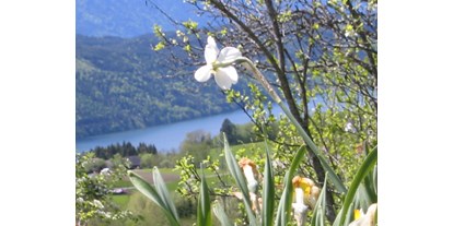 vacanza in fattoria - Dellach (Dellach, Dellach im Drautal) - tolle Aussicht auf den See!  - Forstnighof