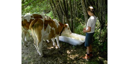 Urlaub auf dem Bauernhof - Jahreszeit: Sommer-Urlaub - Dellach (Dellach, Dellach im Drautal) - unsere Tiere auf der Alm!  - Forstnighof