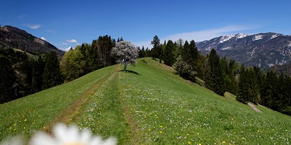 vacanza in fattoria - Alta Austria - Familienbauernhof Christa