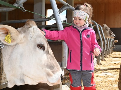 Urlaub auf dem Bauernhof - Umgebung: Urlaub in den Bergen - Österreich - Kinder sind Willkommen! - Ferienhof Landerleben
