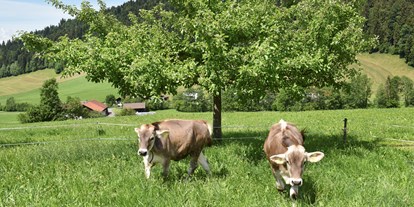 Urlaub auf dem Bauernhof - Tiere am Hof: Hasen - Vorarlberg - Wiesenhof Rusch