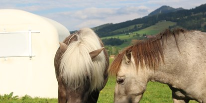 Urlaub auf dem Bauernhof - Tiere am Hof: Streicheltiere - Bayern - Gästehaus Müller
