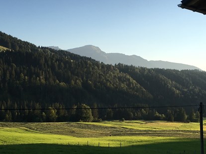 Urlaub auf dem Bauernhof - Mithilfe beim: Heuernten - Österreich - Ferienhof Sonne