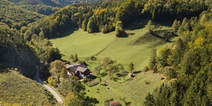 vacation on the farm - Lower Austria - Biohof Lueg - mitten im Wald - Biohof Lueg