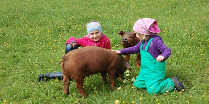 Urlaub auf dem Bauernhof - Mithilfe beim: Tiere füttern - Bayern - Schweine streicheln - Der AuszeitHof