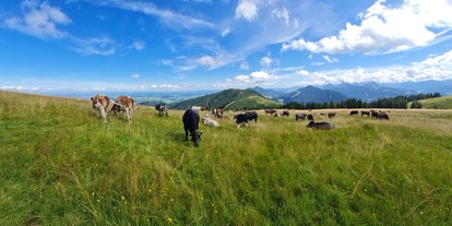 Urlaub auf dem Bauernhof - Mithilfe beim: Tiere füttern - Bayern - Lochbihlerhof in Wertach