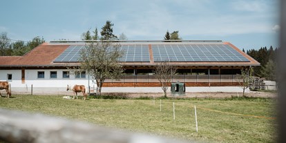 Urlaub auf dem Bauernhof - Bayern - Unser Biohof. Landwirtschaft aus Leidenschaft. - Biohof Stadler