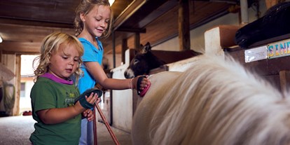 Urlaub auf dem Bauernhof - Fahrzeuge: Bagger - Deutschland - Ponypflege - Ponyferienhof Eder