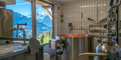Urlaub auf dem Bauernhof - Fernseher am Zimmer - Vorarlberg - Hofeigene Käserei - Bergbauernhof Ganahl