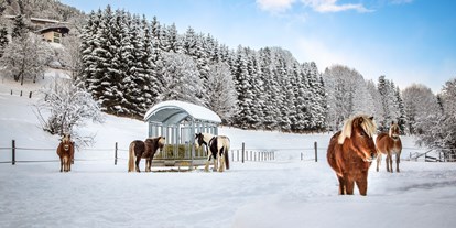 Urlaub auf dem Bauernhof - Halbpension - Österreich - Unsere lieben Pferde im Schnee - MILLINGHOF