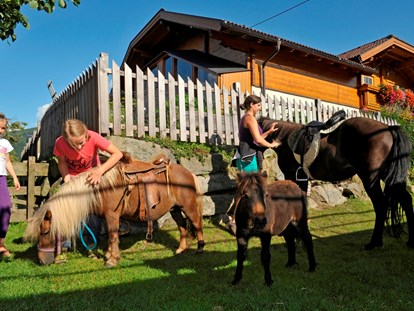 Urlaub auf dem Bauernhof - Streichelzoo - Steiermark -  Die Isländer Pferde fertig machen zum Ponyführen. - Abelhof
