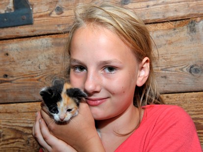 Urlaub auf dem Bauernhof - direkt an der Skipiste - Katzenbabys zum streicheln und kuscheln. - Abelhof