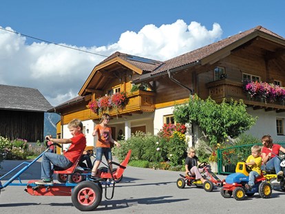 Urlaub auf dem Bauernhof - Umgebung: Urlaub in den Bergen - Österreich - Am Hof ist immer was los, Kinder lieben unsere Gokarts. - Abelhof