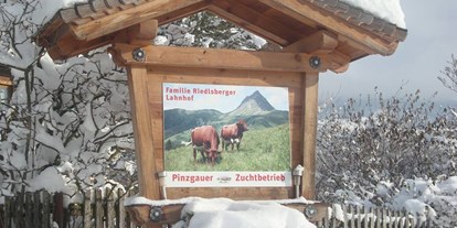 Urlaub auf dem Bauernhof - Tiere am Hof: Enten - Salzburg - Winterurlaub am Bauernhof , Freiraum genießen. - Lahnhof