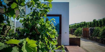Urlaub auf dem Bauernhof - Art der Landwirtschaft: Weinbau - Italien - Tenuta di Castellaro Winery & Resort
