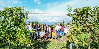Urlaub auf dem Bauernhof - Art der Landwirtschaft: Weinbau - Österreich - Weinlese am Remushof - Remushof Jagschitz
