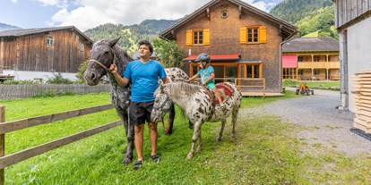 Urlaub auf dem Bauernhof - Art der Unterkunft: Ferienwohnung - Vorarlberg - Unsere Pferde - Ferienbauernhof Nigsch