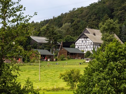Urlaub auf dem Bauernhof - Jahreszeit: Sommer-Urlaub - Deutschland - Hof Keppel