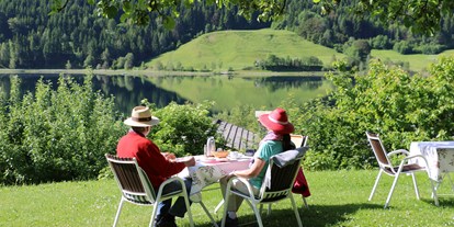 Urlaub auf dem Bauernhof - Umgebung: Urlaub in den Bergen - Dellach (Dellach, Dellach im Drautal) - Ferienhof Obergasser & Pension Bergblick