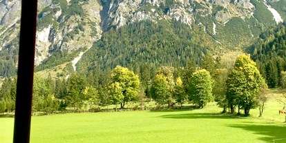 Urlaub auf dem Bauernhof - Tiere am Hof: Ponys - Salzburg - Blick sus dem Fenster  - Alpen Appartements Oberlehengut HIDEAWAY