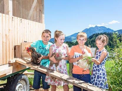 Urlaub auf dem Bauernhof - Mithilfe beim: Heuernten - Österreich - Tiernähe für jung und alt. - Biobauernhof Mittermoos