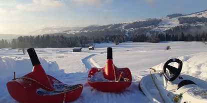 Urlaub auf dem Bauernhof - Spielplatz - Vorarlberg - Ruhelage - direkt am Naturschutzgebiet - Nahturhof