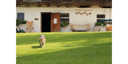 Urlaub auf dem Bauernhof - Hunde: erlaubt - Österreich - Kuhstall "Muhseum" - Bauernhof Hönigshof - Familie Kerschenbauer