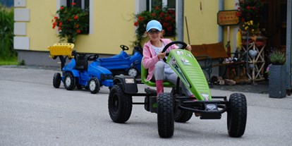 Urlaub auf dem Bauernhof - Liebenfels - ERLEBNISBAUERNHOF Steinerhof in Kärnten