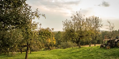 Urlaub auf dem Bauernhof - Selbstversorger - Burgenland - Streuobstwiesen - Biohofgut Laschalt