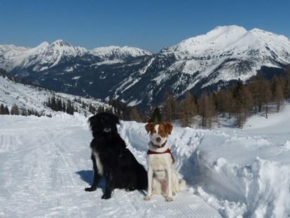 Urlaub auf dem Bauernhof - Wanderwege - Österreich - Traumurlaub mit Hunden - Bergbauernhof Irxner - Urlaub am Bauernhof mit Hund