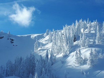 Urlaub auf dem Bauernhof - Alpen - Mit traumhaften Winter-Panorama - Bergbauernhof Irxner - Urlaub am Bauernhof mit Hund