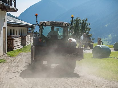 Urlaub auf dem Bauernhof - Mithilfe beim: Heuernten - Trentino-Südtirol - Pichlerhof