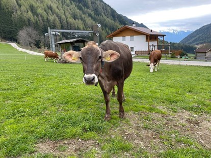 Urlaub auf dem Bauernhof - Südtirol - Lechnerhof Vals