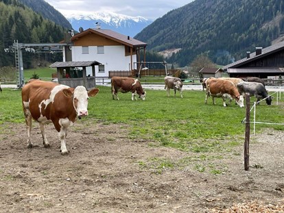 Urlaub auf dem Bauernhof - Eisacktal - Lechnerhof Vals
