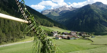 Urlaub auf dem Bauernhof - Verleih: Langlaufski - Trentino-Südtirol - Die Wiesen rund um unseren Hof werden zwei mal gemäht. - Oberhof