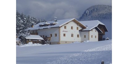 Urlaub auf dem Bauernhof - Mithilfe beim: Melken - Italien - Hof im Winter - Schgagulerhof